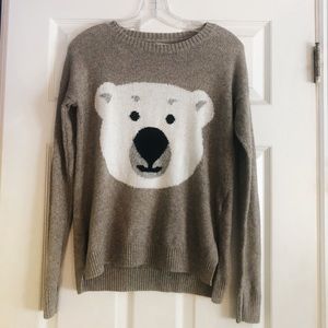 Hollister Polar Bear Brown Sweater (Size Small)